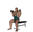 Shoulder Press - Seated Reverse